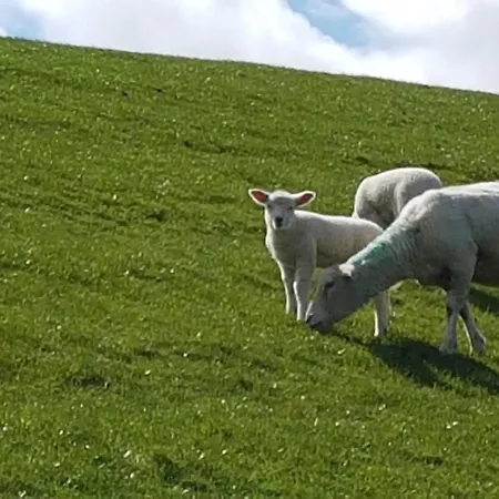 Haushaelfte Suederhafen بيت للعطل